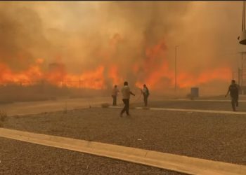 Más de 50 incendios de pastizales azotan Nuevo León.
