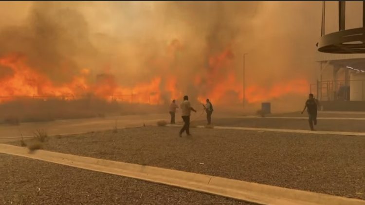 Más de 50 incendios de pastizales azotan Nuevo León.