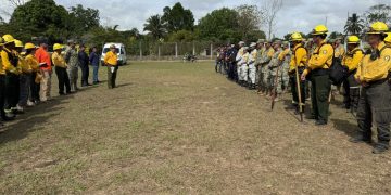 Se combate de manera exitosa incendio forestal en la Selva Lacandona