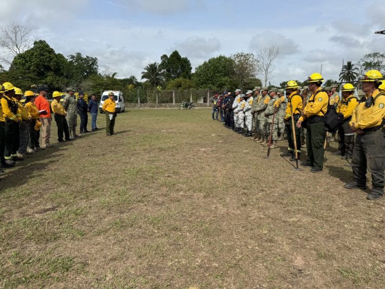 Se combate de manera exitosa incendio forestal en la Selva Lacandona